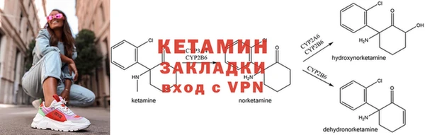 амф Липки