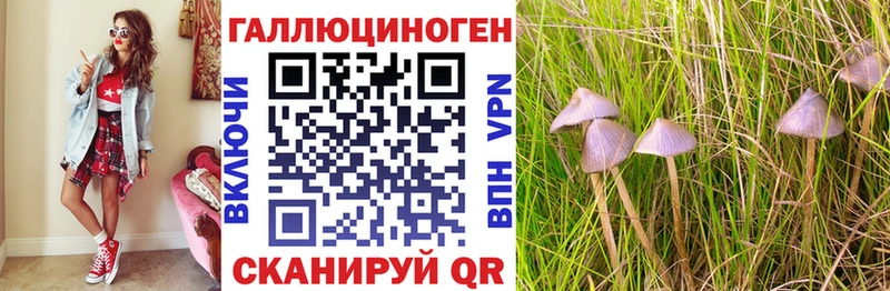 Псилоцибиновые грибы ЛСД  ссылка на мегу рабочий сайт  Темрюк 