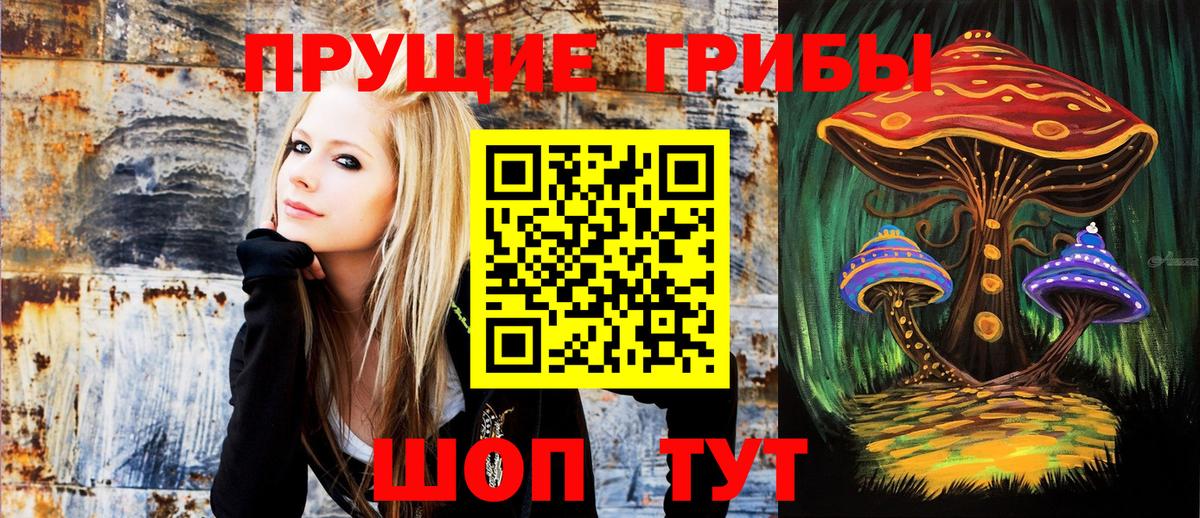 Псилоцибиновые грибы мухоморы Темрюк