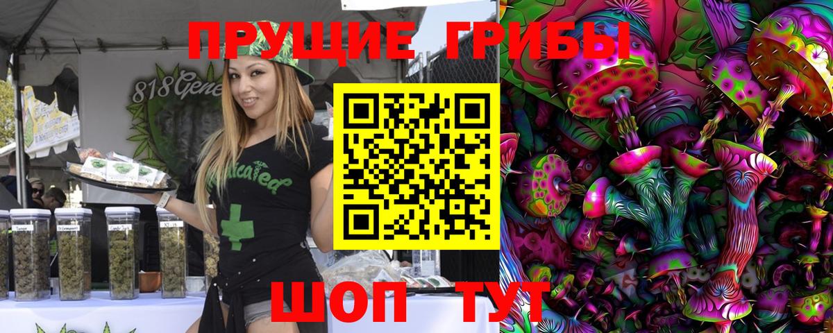 Галлюциногенные грибы Cubensis  Темрюк  продажа наркотиков  Галлюциногенные грибы прущие грибы 